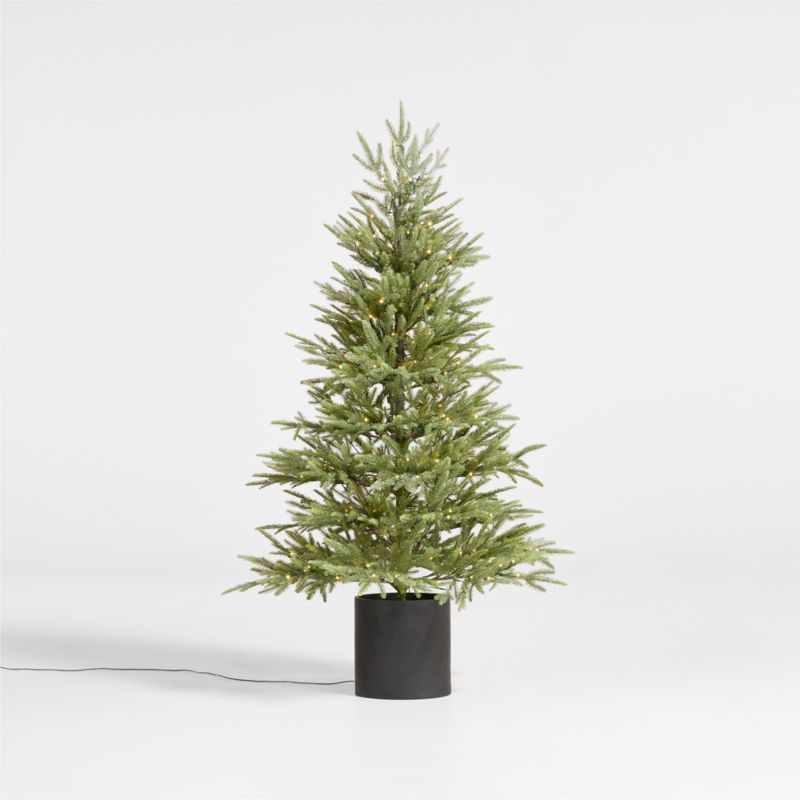 Faux Potted Norway Spruce Pre-Lit LED Tree with White Lights 5' + Reviews | Crate & Barrel | Crate & Barrel