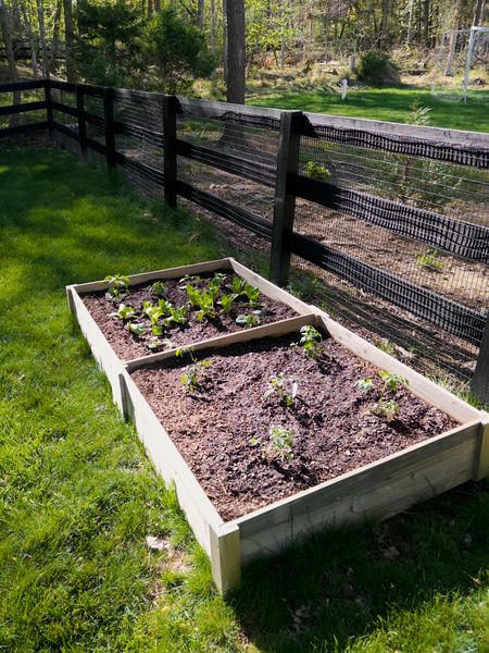 Raised beds from amazon have held up well! 🌱

#LTKSeasonal