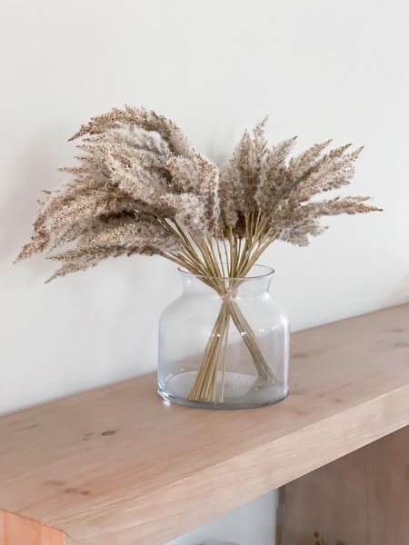 These faux millet stems are so fun! I have them in a simple glass vase on our natural wood console table! You could totally add some lights to the vase to make it festive! 

simple home decor, pb inspired home decor, pottery barn decor, target home finds, target home decor, pottery barn finds, festive decor, home decor ideas 

#LTKunder50 #LTKunder100

#LTKhome #LTKstyletip #LTKSeasonal