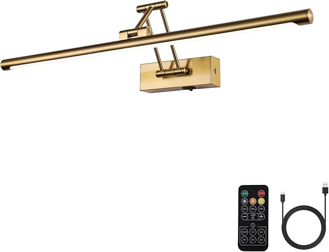Picture Light Battery Operated with Remote LED Dimmable Picture Light for Paintings, Brass Rechar... | Amazon (US)