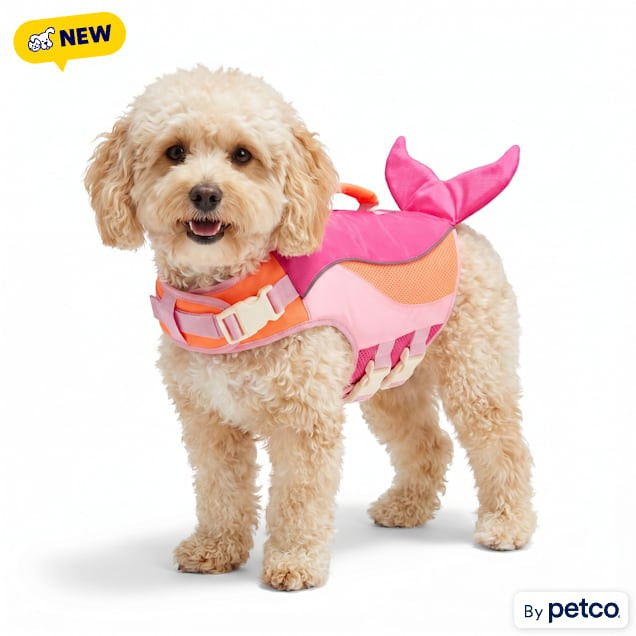 YOULY Dog Flotation Vest with Mermaid Tail, Medium | Petco