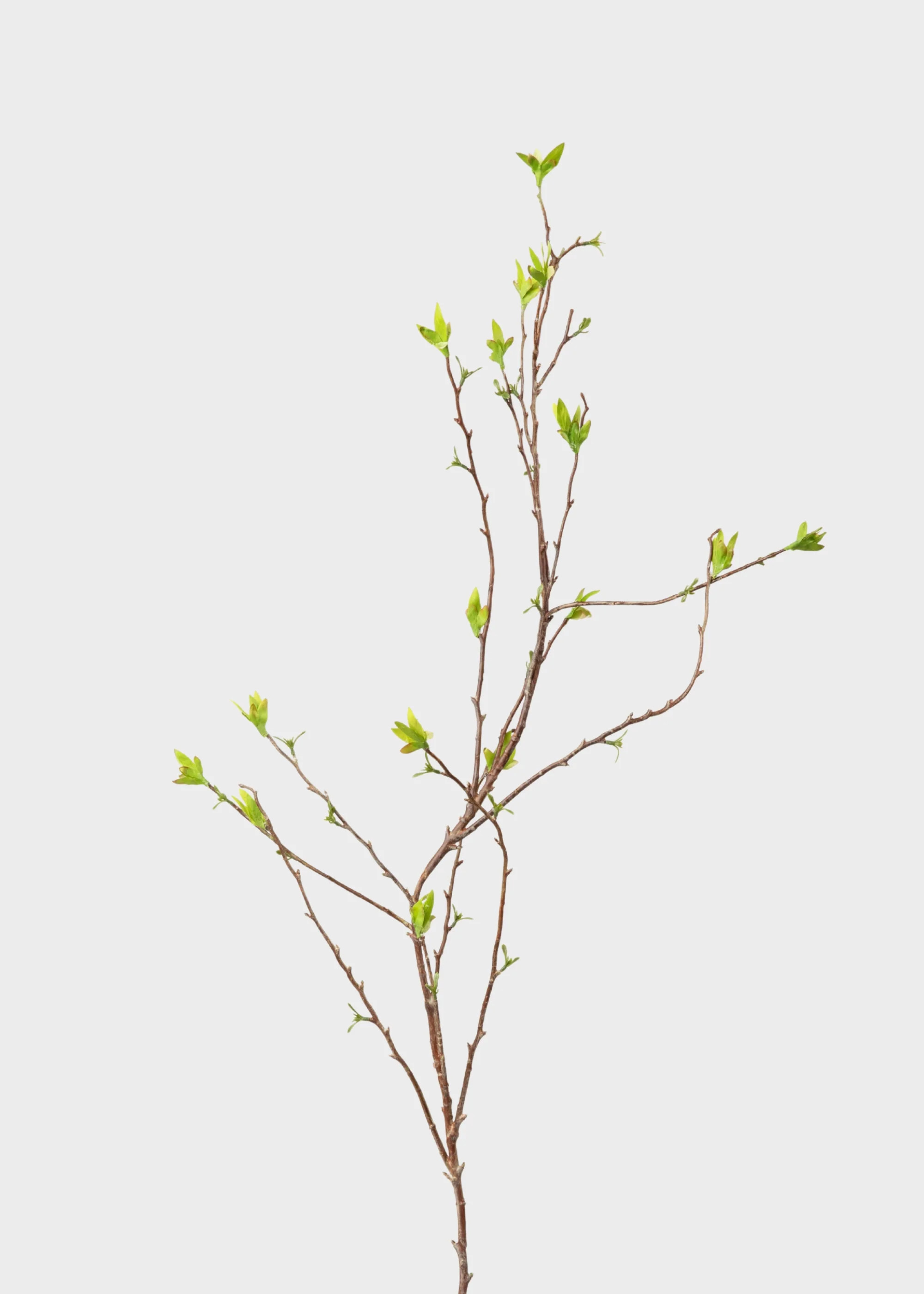 Green Artificial Budding Spring Willow Branch - 41" | Afloral