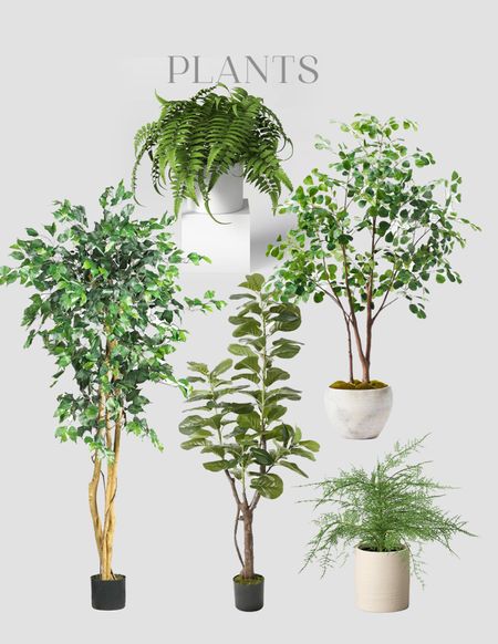 Every space looks better with some plants in it! These are all affordable but natural looking greens! 

#LTKfamily #LTKFind #LTKhome