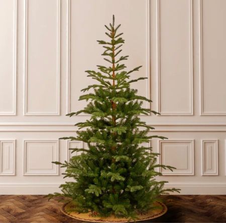 O Christmas Tree 🎄 

#LTKhome #LTKunder100 #LTKSeasonal