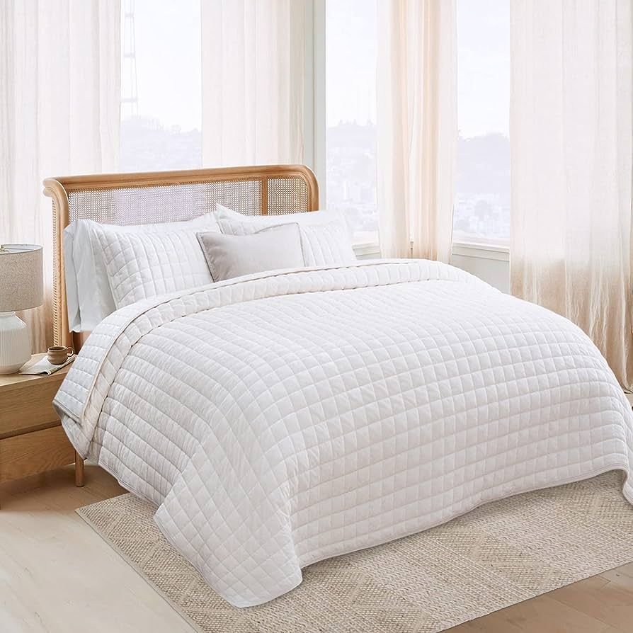 RECYCO Luxury Velvet Quilt Set Full Queen Size, Lightweight Velvet Comforter Set, Oversized Bedsp... | Amazon (US)