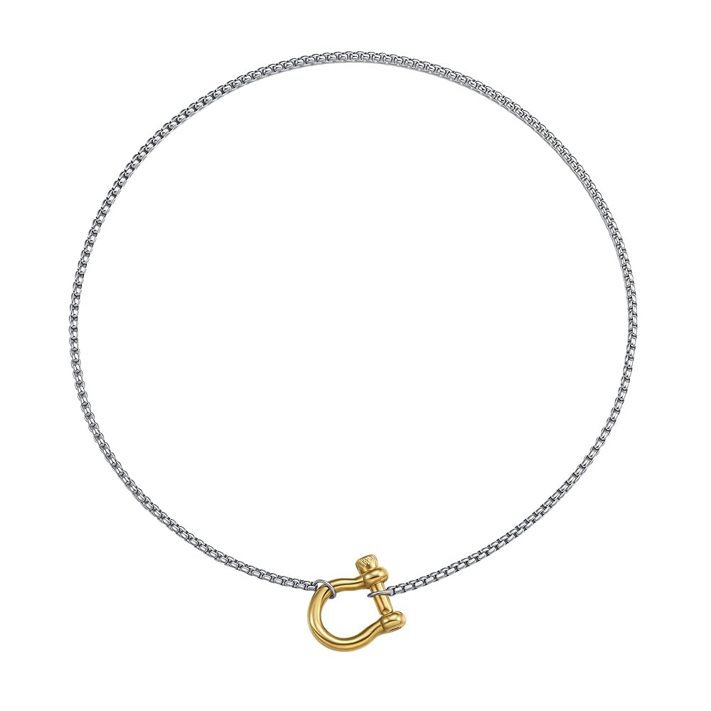 KURTCB Carabiner Necklace 14K Gold Plated Stainless Steel Statement Chunky Heavy Necklace for Wom... | Amazon (US)