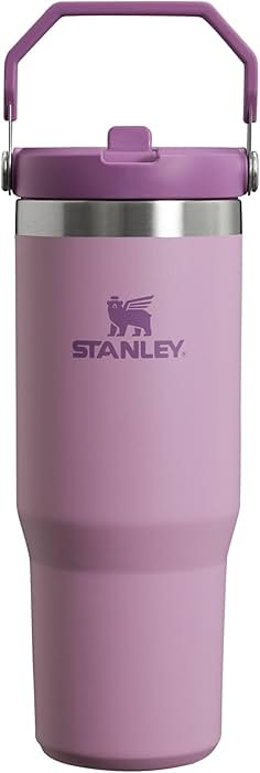 Stanley IceFlow Flip Straw Tumbler with Handle 30 oz | Twist On Lid and Flip Up Straw | Leak Resi... | Amazon (US)