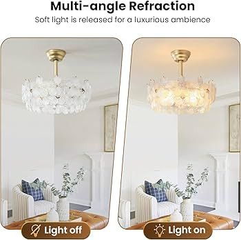 20'' Fandelier Ceiling Fans with Lights, Gold Caged Ceiling Fan with Remote Low Profile, 6 Speed ... | Amazon (US)