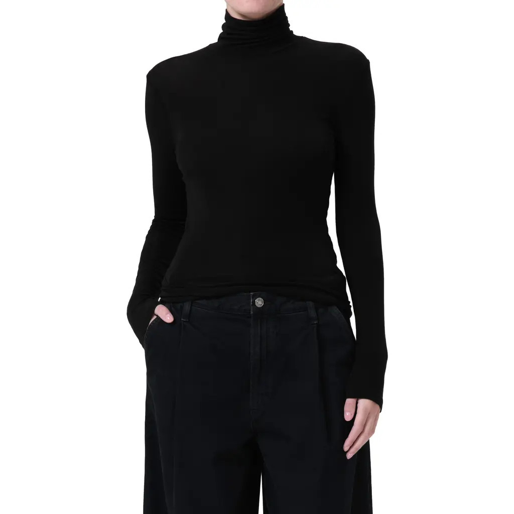 AGOLDE Pascale Rib Turtleneck Top in Black at Nordstrom, Size X-Large | Nordstrom