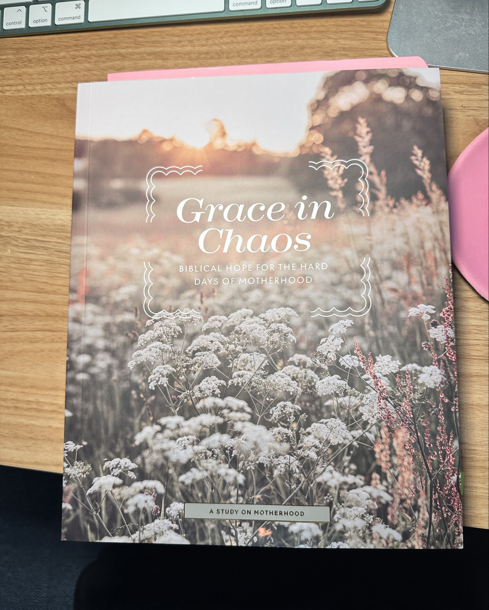 Clinging onto God more as I am in the thick of motherhood. So excited about this  Bible study book specifically aimed for mothers like myself 🤍 #books #christian #motherhoodd

#LTKFindsUnder50 #LTKFindsUnder100