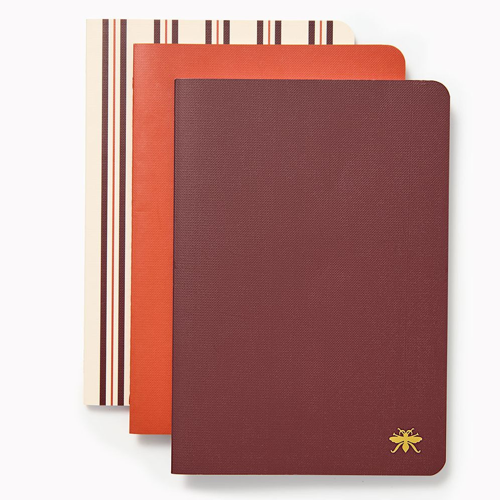 Chocolate Paper Wasp S/3 Notebooks | Paper Source