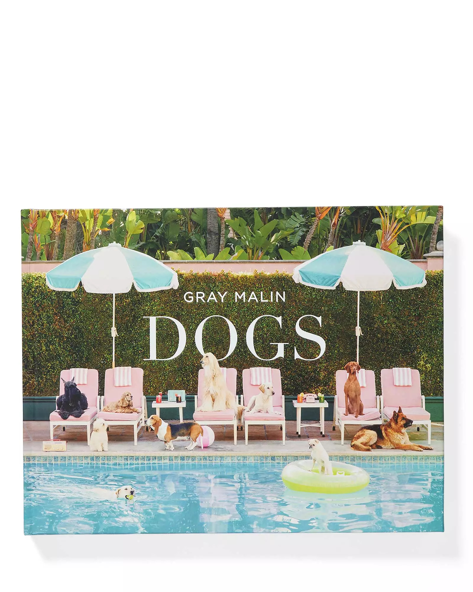 "Dogs" by Gray Malin | Serena and Lily