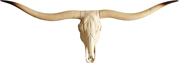 Bison Bull Skull Wall Decor Cow Skull Wall Decor Head LongHorn Sculptures Wall Plaque Art Crafts ... | Amazon (US)