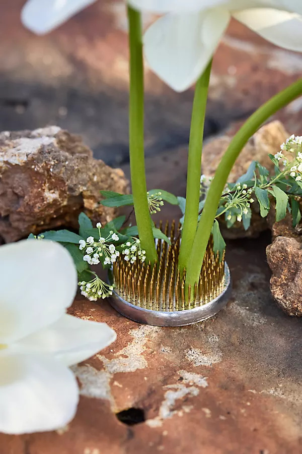 Round Kenzan, Set of 2 | Anthropologie (US)