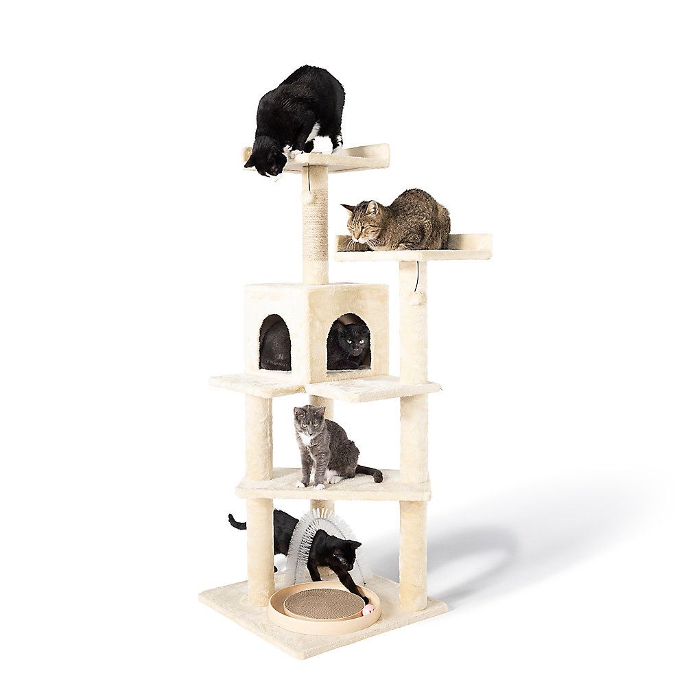 Whisker City® 60-in Playbox, Ball Track with Scratcher Toys Cat Tree, Linen | PetSmart