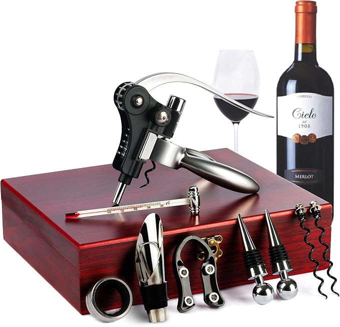9-Pieces Wine Opener Set, Christmas Gifts for Men - Corkscrew Stainless Steel Wine Bottle Opener ... | Amazon (CA)