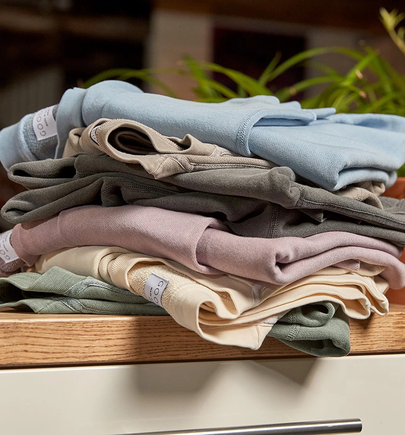 Women's Sun-Faded Venice Terry Crew | GOODLIFE Clothing