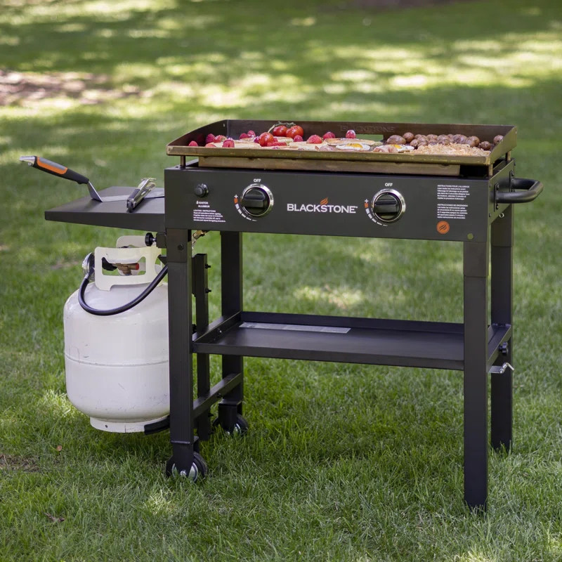Blackstone 2 - Burner Liquid Propane 34000 BTU Gas Grill | Wayfair Professional