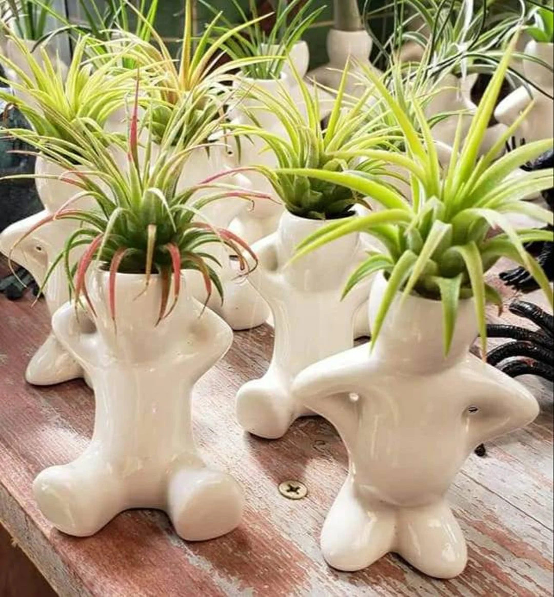 Simple People Air Plant holders, planters Home or Office decor FREE SHIPPING | Etsy (US)