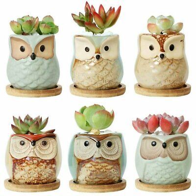 Owl Flower Pot Ceramic Succulent Planter Pots with Bamboo Tray Set of 6 | eBay US