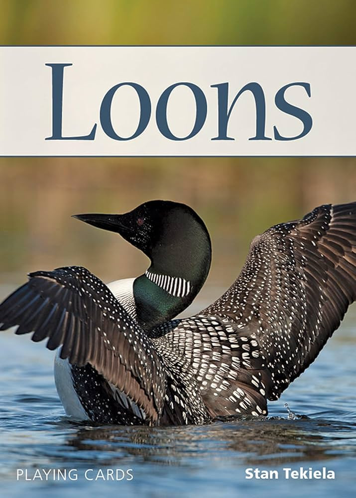 Loons Playing Cards (Nature's Wild Cards) | Amazon (US)
