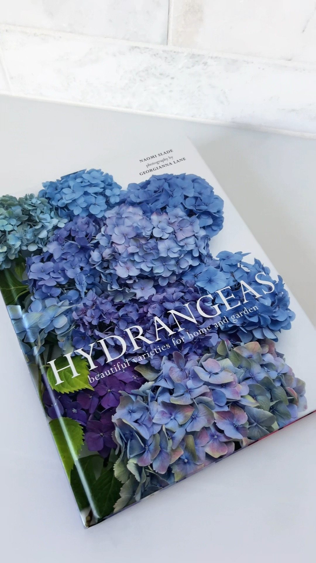 The prettiest coffee table book 🪻

#LTKSeasonal #LTKHome