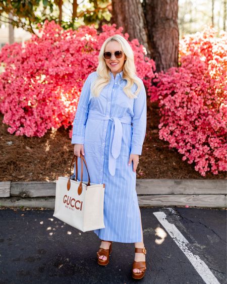 Tuckernuck shirt dress size small. Brown platform sandals. Gucci canvas tote bag. Spring look. Shirtdress.  Spring workwear 

#LTKshoecrush #LTKSeasonal #LTKworkwear