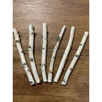White Birch Branches, 6 Count, 12 Inches in Length, 3/4 - One Inch Diameters | Etsy (US)
