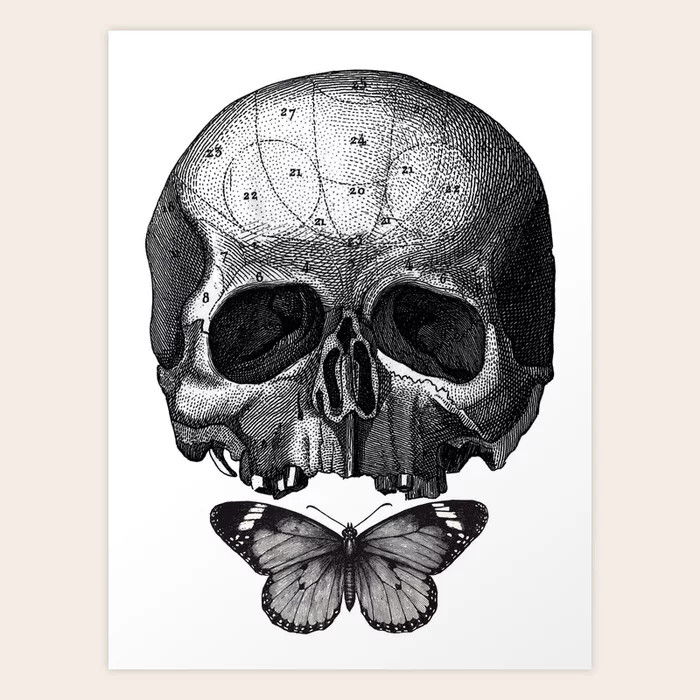 Skull and Butterfly - vintage engraving collage by Fleuriosity Art Print | Society6