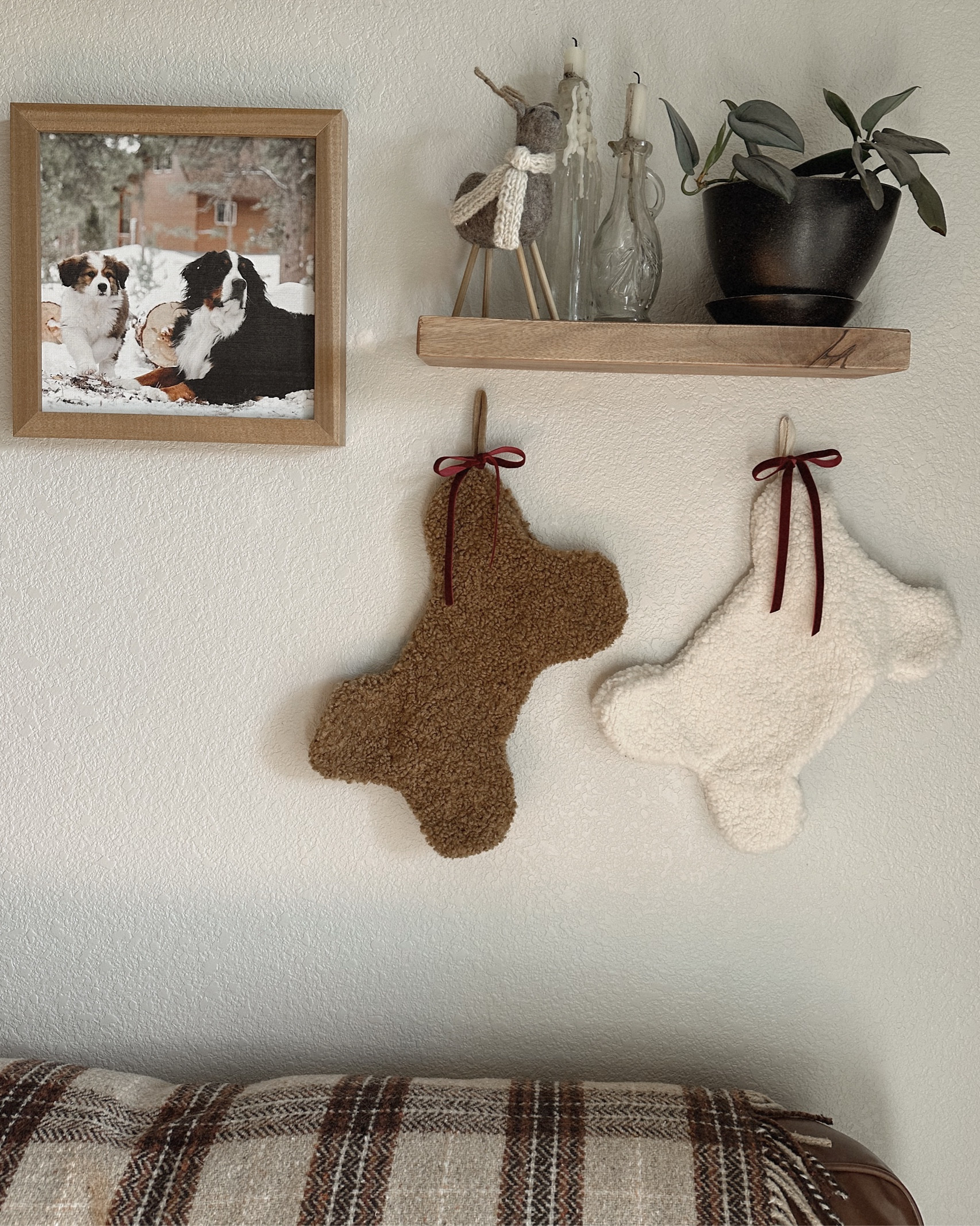 Dog stockings 🐾🎄🧦

#LTKGiftGuide #LTKCyberWeek #LTKHoliday