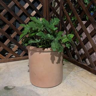 +6Hover Image to Zoom | The Home Depot