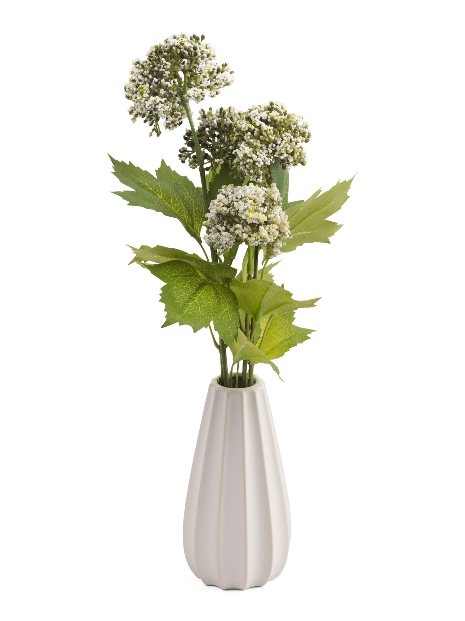 12in White Sedum In Ridge Vase | Home | Marshalls | Marshalls