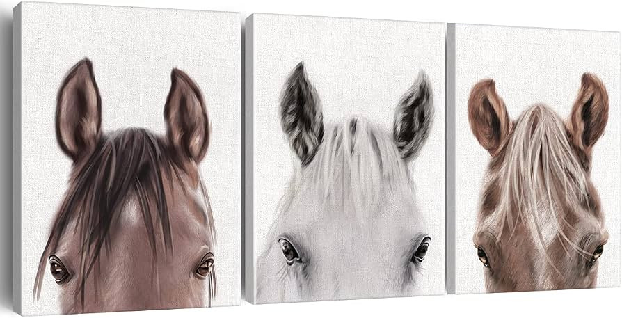 Set of 3 Horse Pictures Wall Art Decor Framed (11.5x15 Inch) | Amazon (US)
