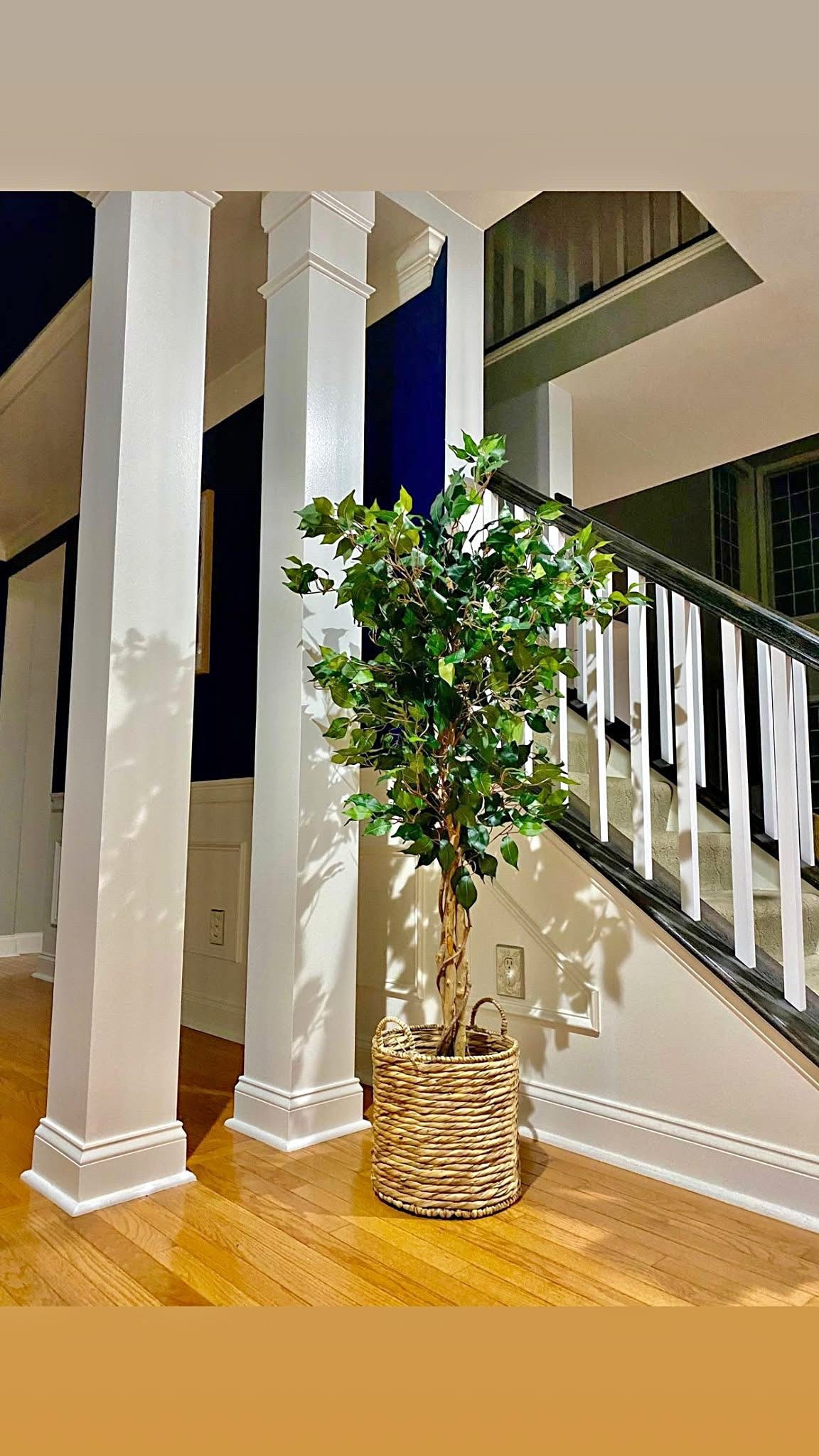 faux tree
indoor decor
home decor
home accents
bedroom
bathroom
livingroom decor

#LTKSaleAlert #LTKHome #LTKvlog