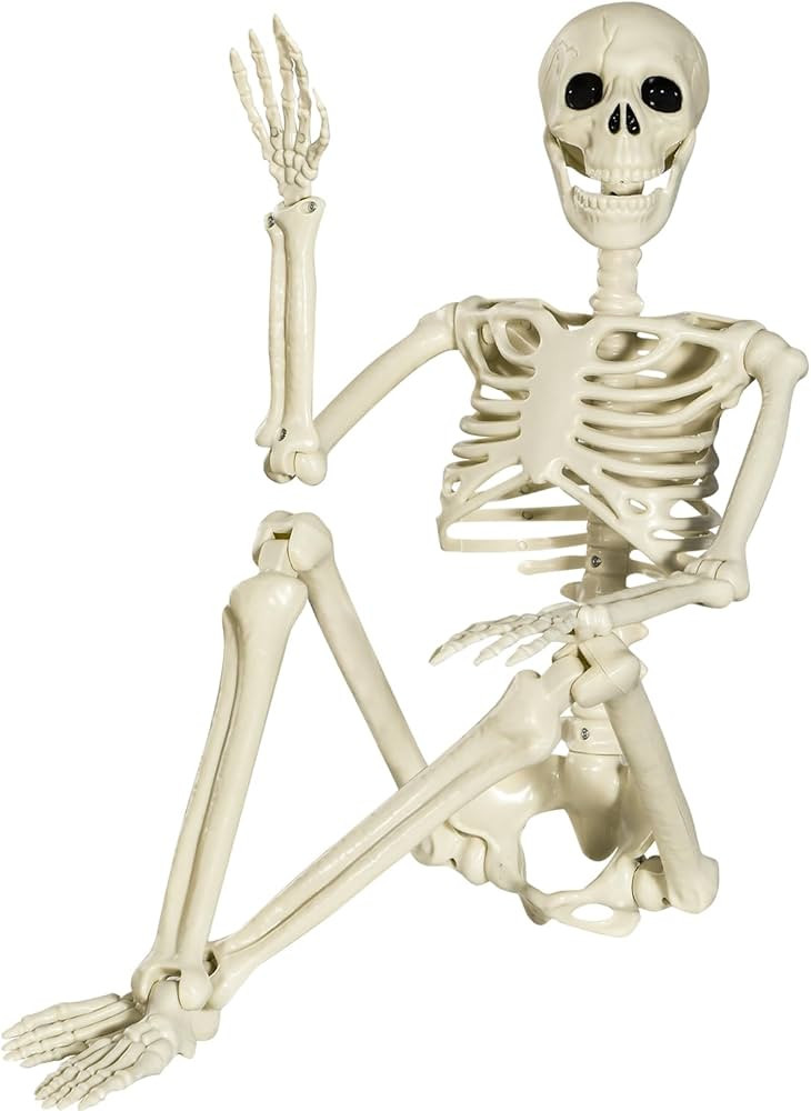 Halloween Skeleton Full Body Posable Joints Skeletons, 90cm Human Skeleton Decorations for Hallow... | Amazon (CA)