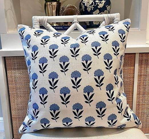 Coastal Grandmillennial Style Pillow Covers (Charlotte) | Amazon (US)