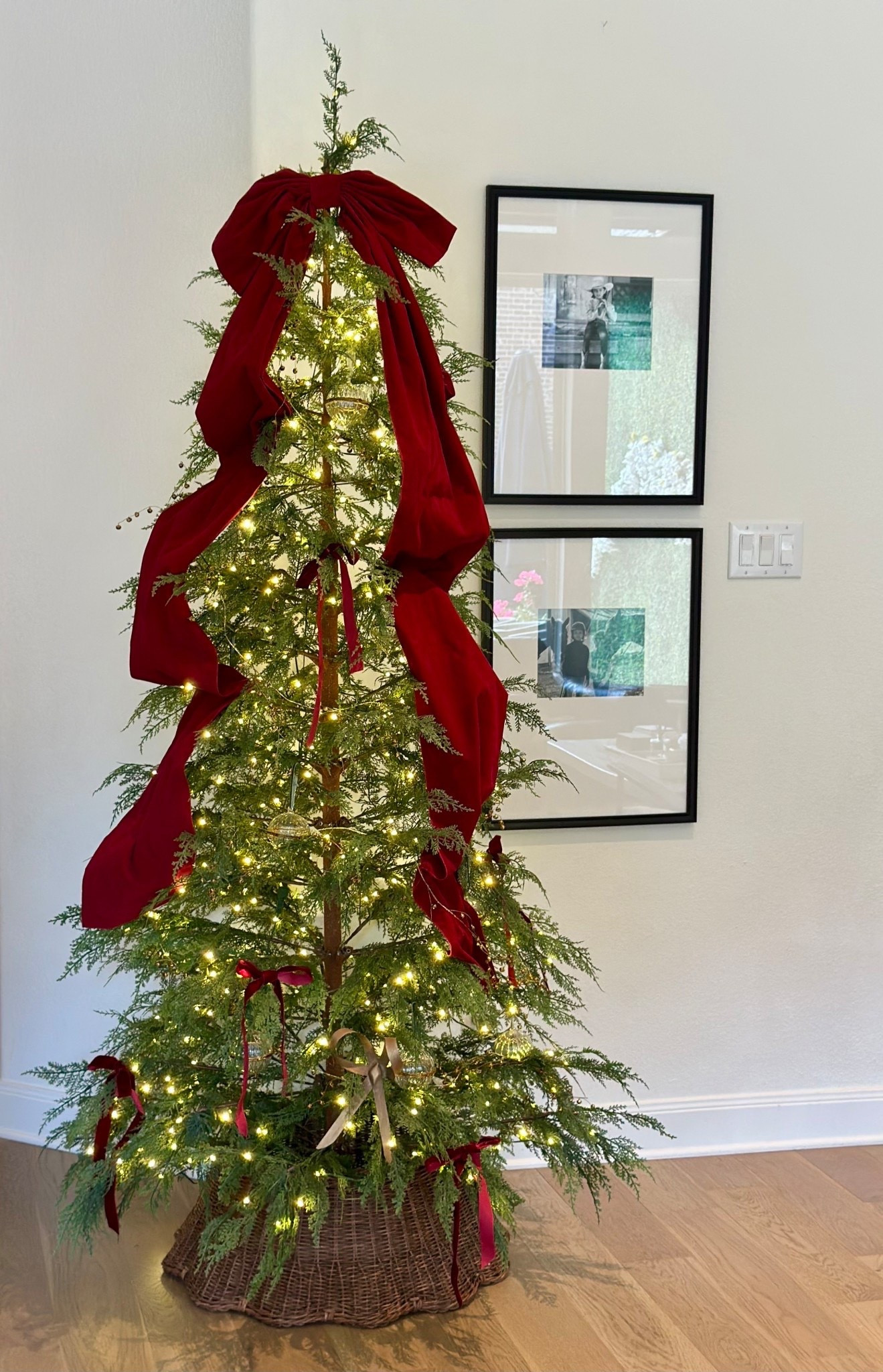 The MTH 9’ Cypress tree is showing available🌲

Christmas tree
Cypress tree
Christmas decor
My Texas House

#LTKSeasonal #LTKHome