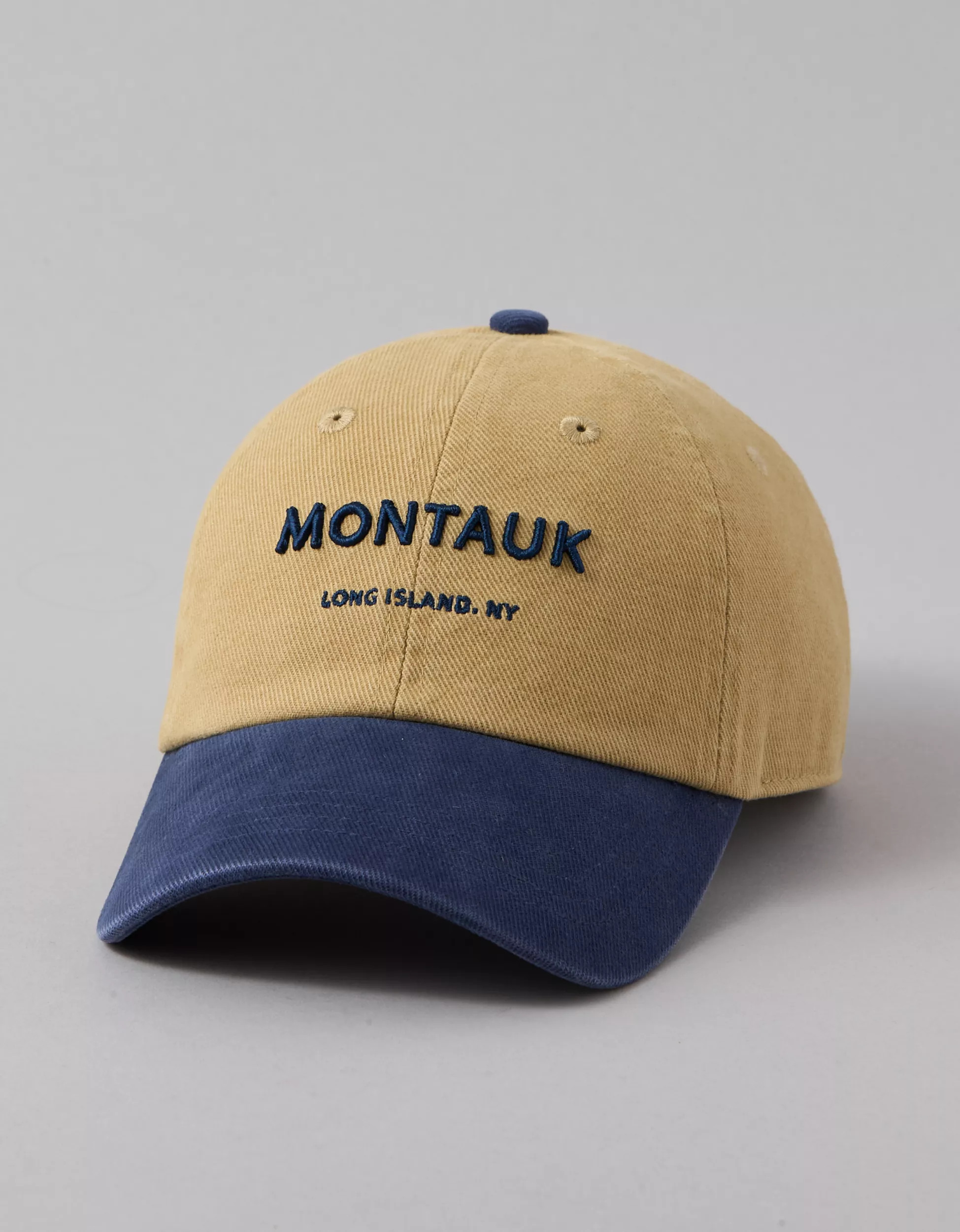 AE Destination Baseball Hat | American Eagle Outfitters (US & CA)