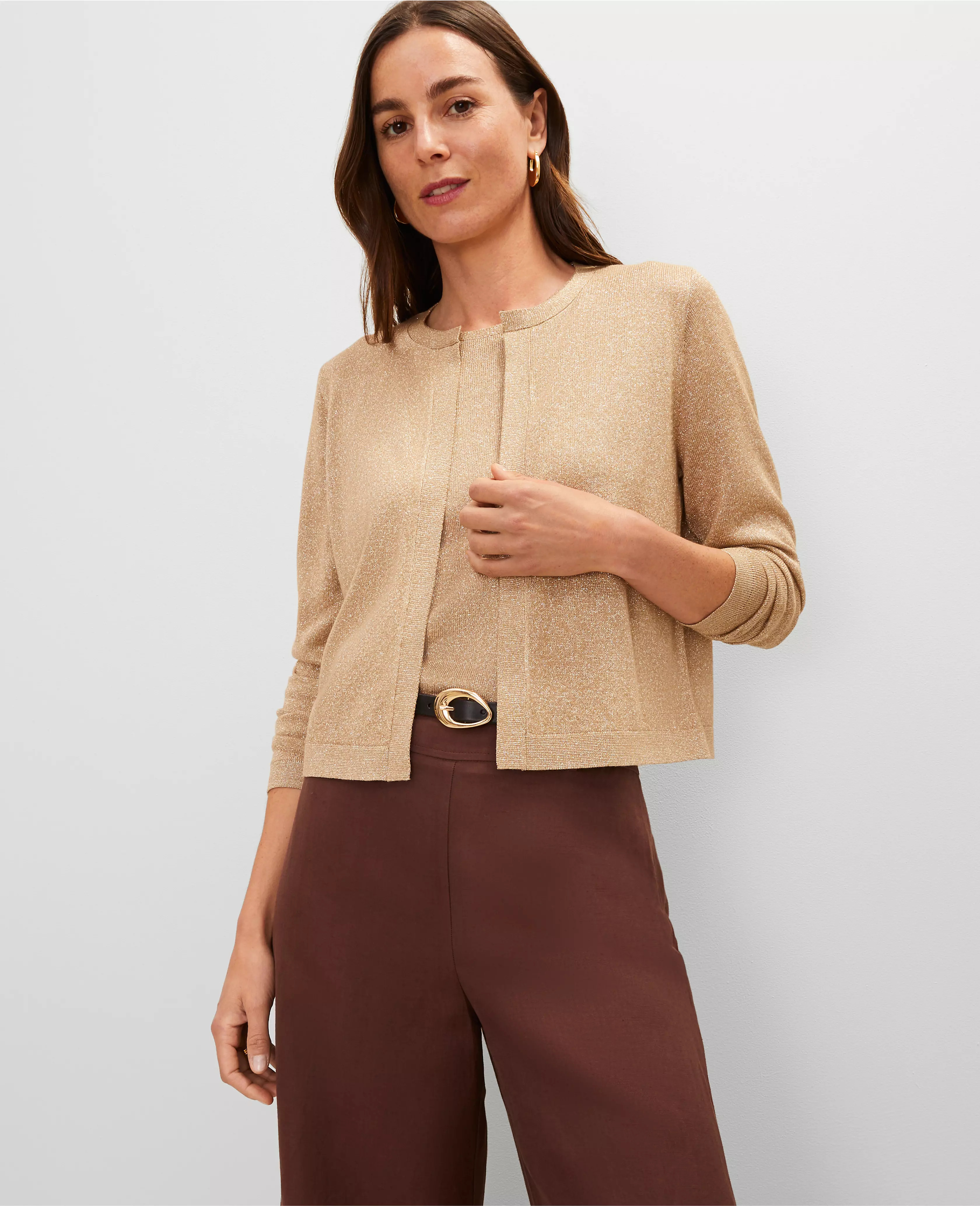 Shimmer Open Cardigan | Ann Taylor