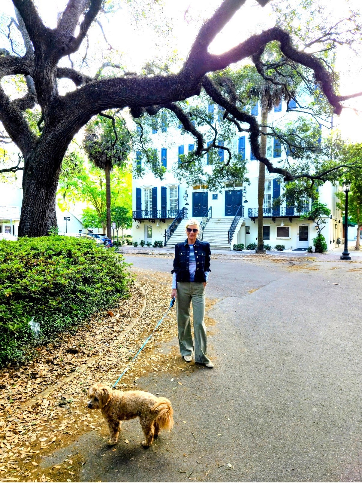 Had the most wonderful time visiting Savannah!  My ootd was straight from
Nordstrom the day before. I’ll be wearing all of it !  Loving the green wide leg pants with a striped boatneck tshirt , a orol denim jacket and raffia ballet flats ✅

#LTKootd #LTKOver40 #LTKTravel
