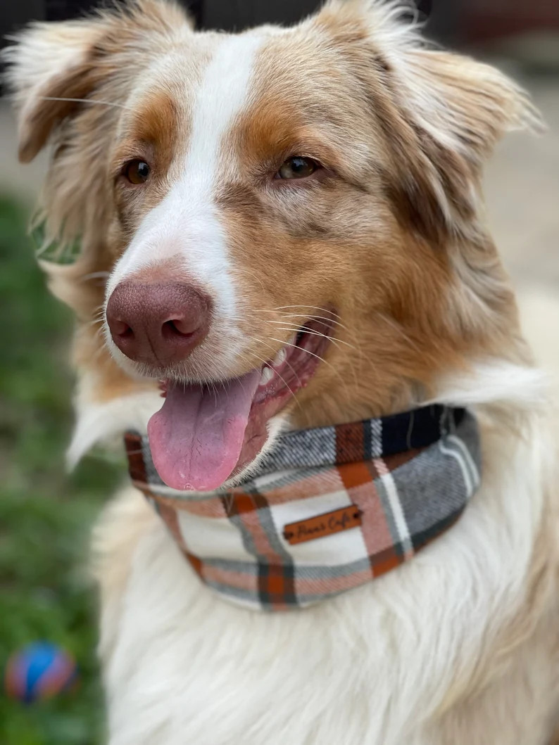 Fall Harvest Twisted Flannel Snood Dog Scarf / Infinity Scarf for Pets / Snood for Dogs / Warm Do... | Etsy (US)