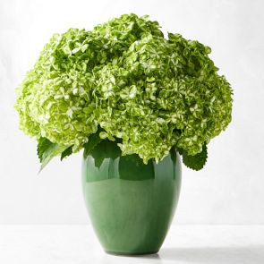 Provençal Large Vase | Williams-Sonoma