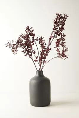 Preserved Ruscus Bunch | Anthropologie (US)