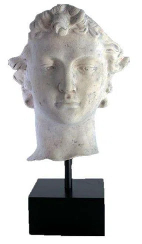Aadyanth Stone David Head Life Size | Wayfair North America