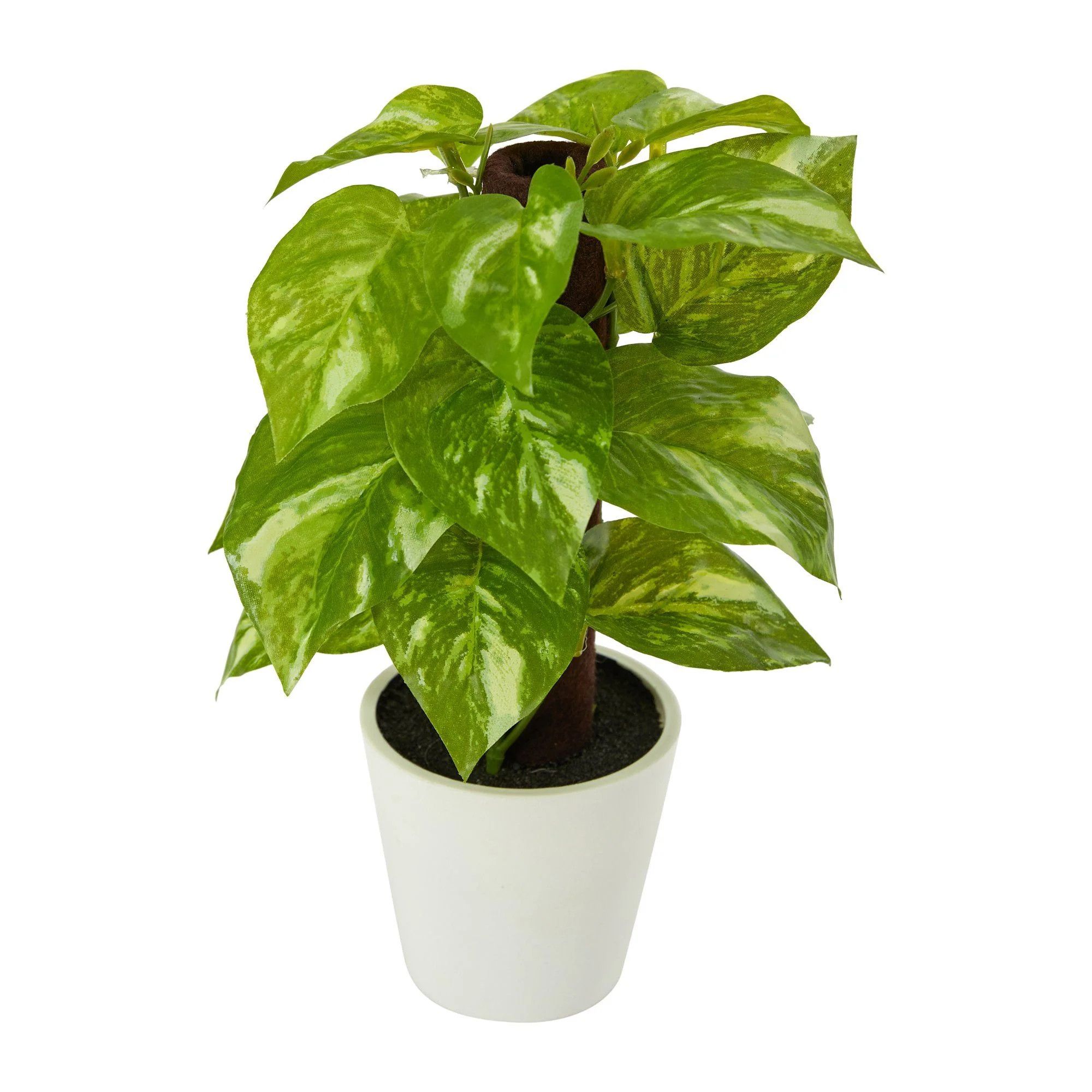 9” Pothos Artificial Plant in White Planter (Real Touch) | Nearly Natural | Nearly Natural
