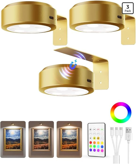 EZVALO Picture Lights for Wall, 2000mAh Rechargeable Battery Magnetic Poster Lights with 3 Color ... | Amazon (US)
