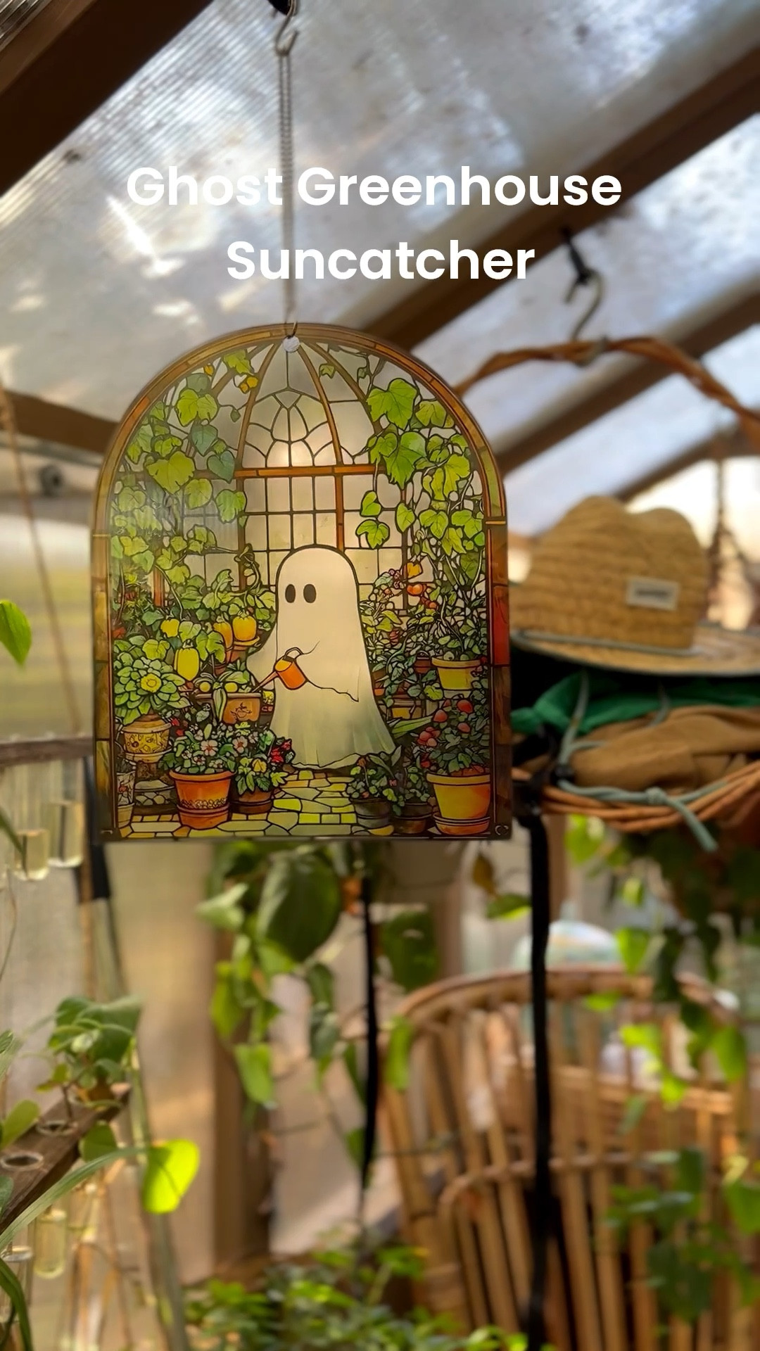 The cutest Halloween decor for any plant lover! 

#plants #halloween 