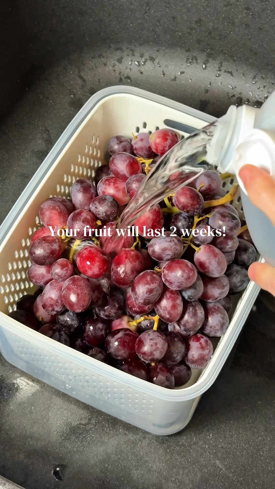 How To Wash and Store Fruit | Make Fruit Last Longer | Fruit Storage Bins

#LTKHome #LTKfoodie