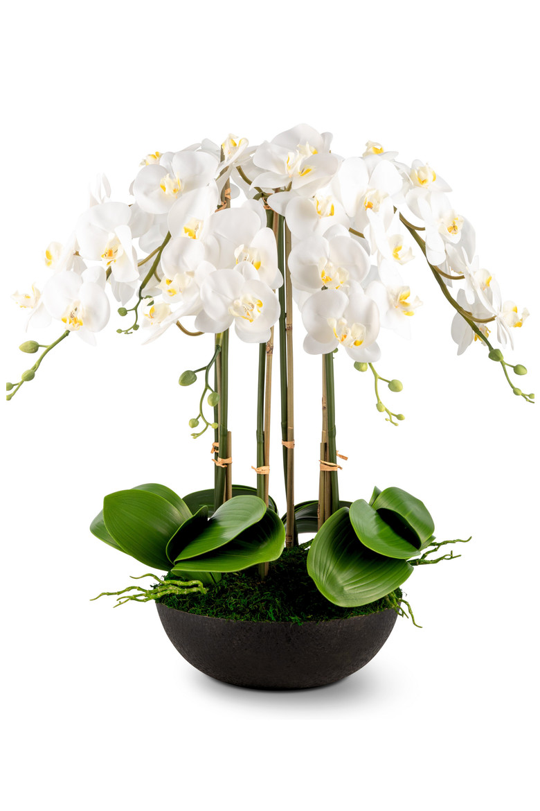 Abella RealTouch Orchid Arrangement | Nordstrom | Nordstrom