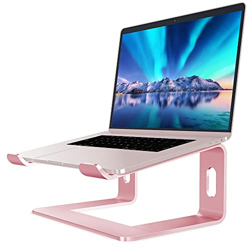 Soundance Laptop Stand, Aluminum Computer Riser, Ergonomic Laptops Elevator for Desk, Metal Holder C | Amazon (US)